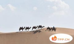 内蒙古有什么好玩的旅游景点？内蒙古十大旅游