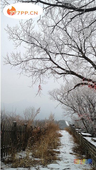 京城这些地方的雪景美轮美奂，值得一看！