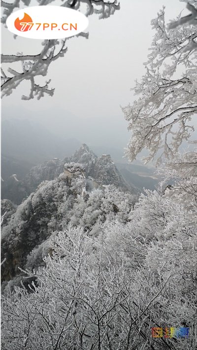 京城这些地方的雪景美轮美奂，值得一看！