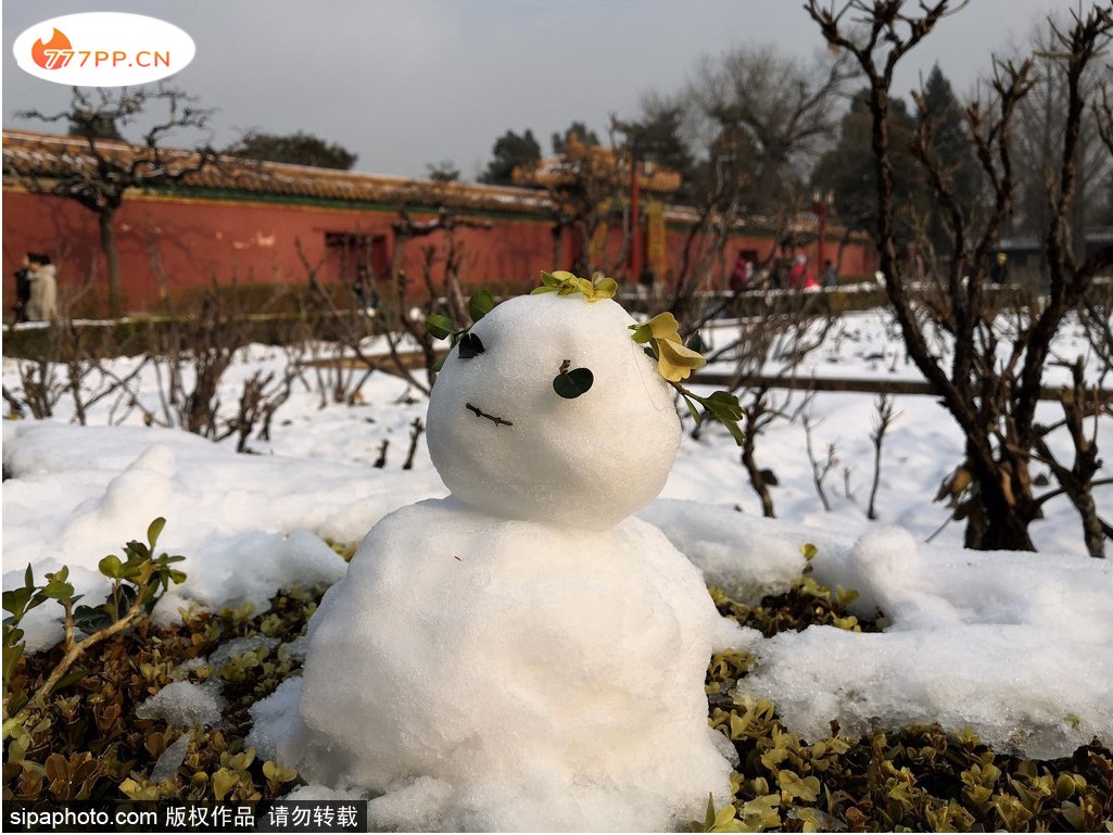 京城这些地方的雪景美轮美奂，值得一看！