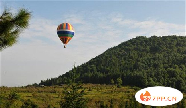 腾冲高山乌龙茶马站景区